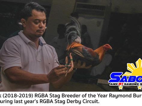 sabong24|Latest Sabong Updates .